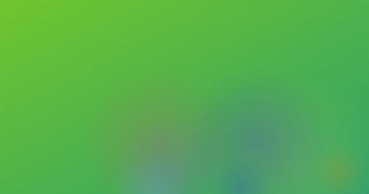 www.免费视频避坑底层逻辑